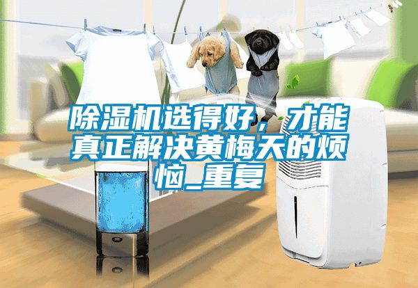 91抖音免费看片选得好，才能真正解决黄梅天的烦恼_重复