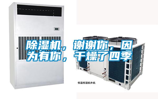 91抖音免费看片，谢谢你，因为有你，干燥了四季