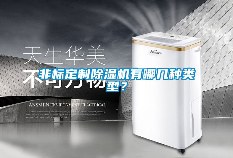 非标定制91抖音免费看片有哪几种类型？