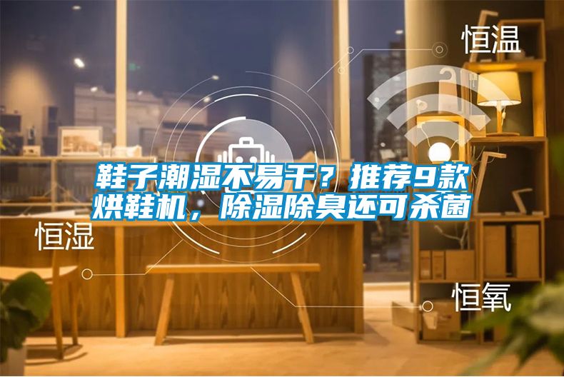 鞋子潮湿不易干？推荐9款烘鞋机，除湿除臭还可杀菌