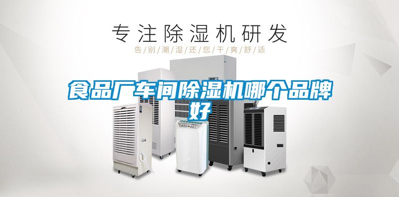 食品厂车间91抖音免费看片哪个品牌好