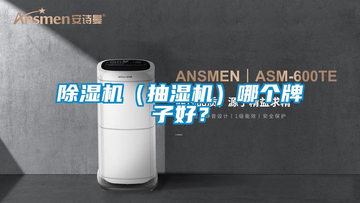 91抖音免费看片（抽湿机）哪个牌子好？