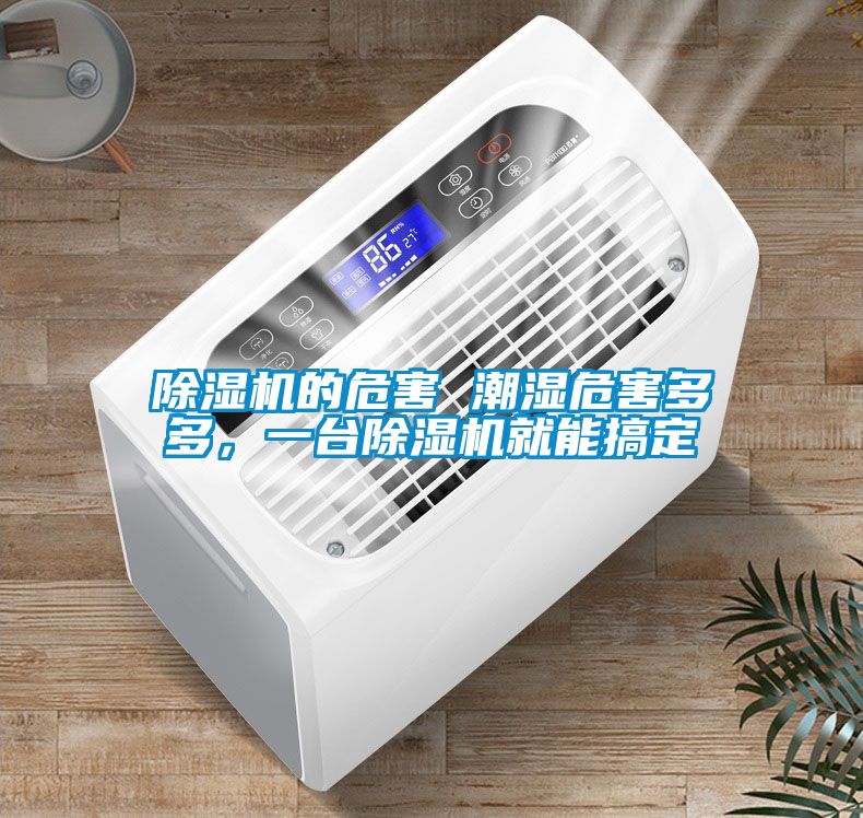 91抖音免费看片的危害 潮湿危害多多，一台91抖音免费看片就能搞定
