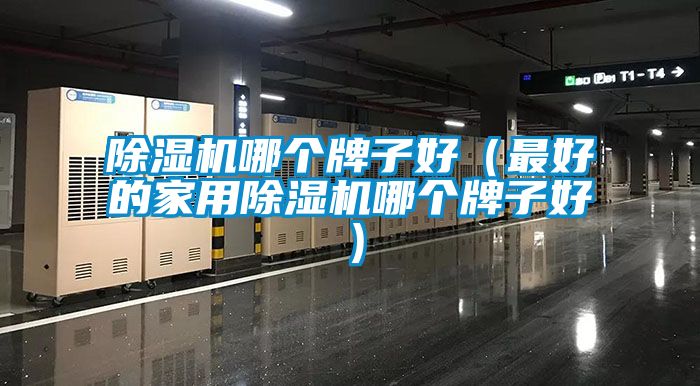 91抖音免费看片哪个牌子好（最好的家用91抖音免费看片哪个牌子好）