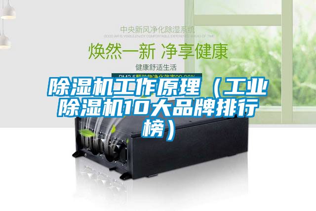 91抖音免费看片工作原理（工业91抖音免费看片10大品牌排行榜）