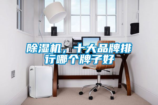 91抖音免费看片，十大品牌排行哪个牌子好