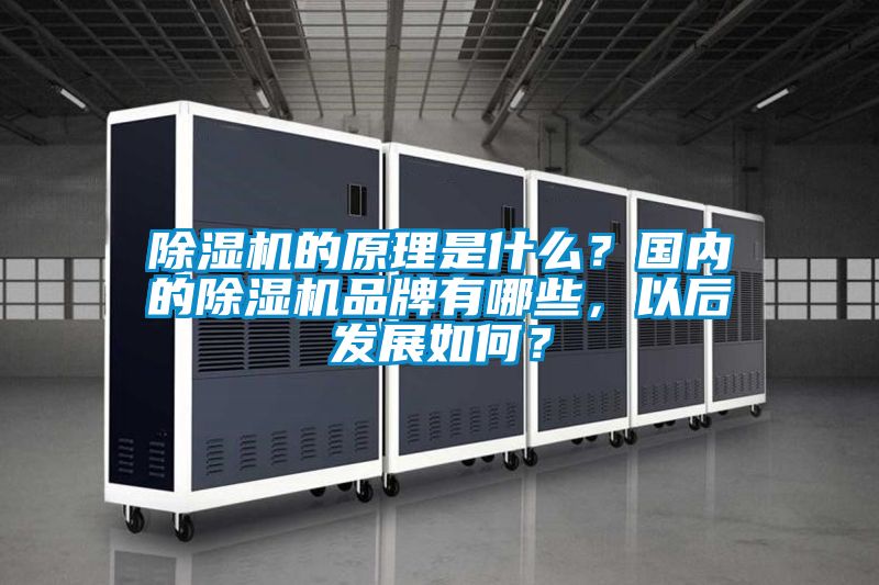 91抖音免费看片的原理是什么？国内的91抖音免费看片品牌有哪些，以后发展如何？