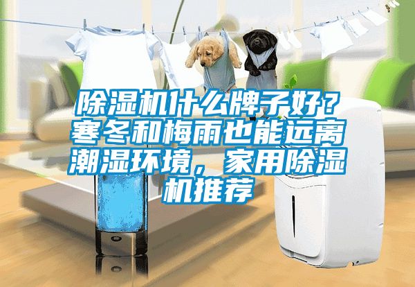91抖音免费看片什么牌子好？寒冬和梅雨也能远离潮湿环境，家用91抖音免费看片推荐