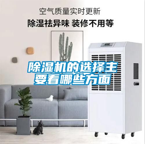 91抖音免费看片的选择主要看哪些方面