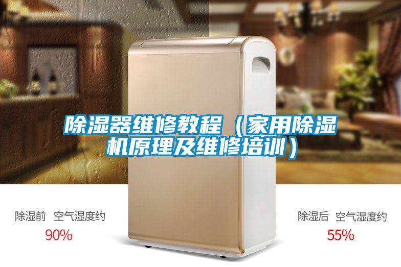 除湿器维修教程（家用91抖音免费看片原理及维修培训）
