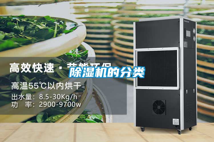 91抖音免费看片的分类