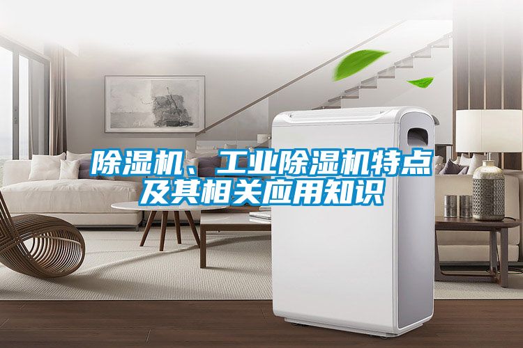 91抖音免费看片、工业91抖音免费看片特点及其相关应用知识