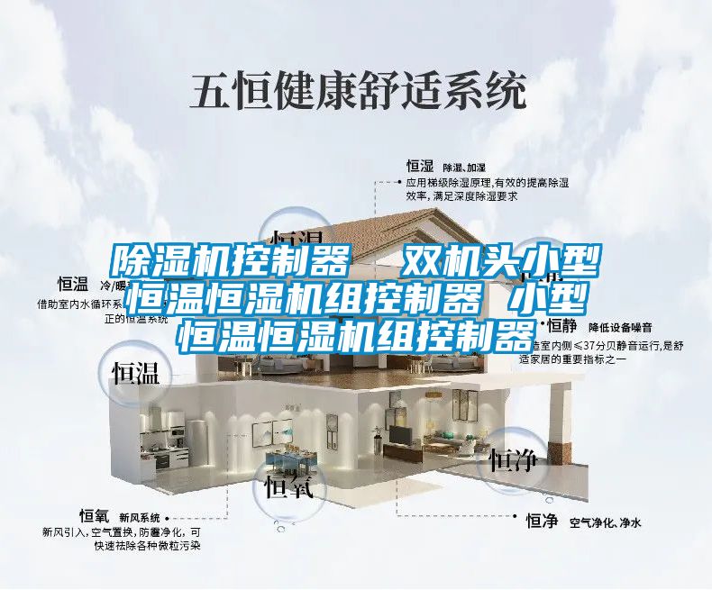 91抖音免费看片控制器  双机头小型恒温恒湿机组控制器 小型恒温恒湿机组控制器