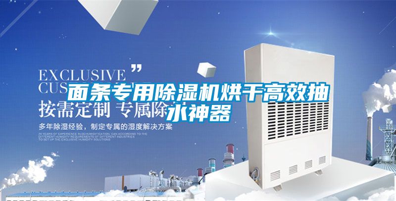 面条专用91抖音免费看片烘干高效抽水神器