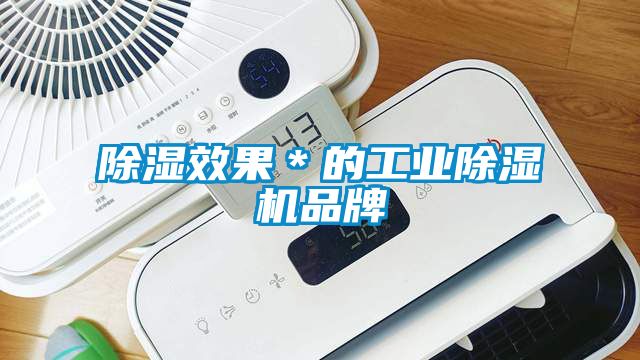 除湿效果＊的工业91抖音免费看片品牌