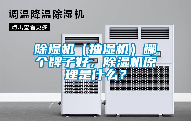 91抖音免费看片（抽湿机）哪个牌子好，91抖音免费看片原理是什么？