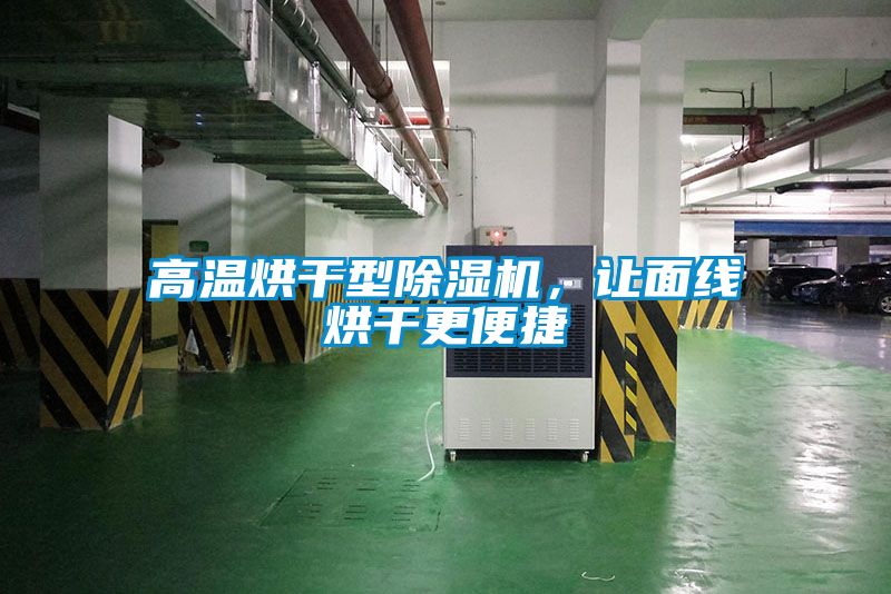 高温烘干型91抖音免费看片，让面线烘干更便捷