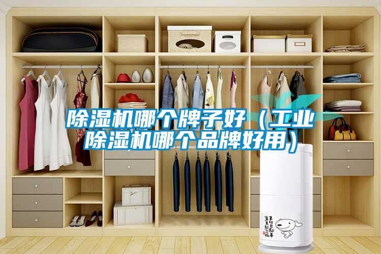 91抖音免费看片哪个牌子好（工业91抖音免费看片哪个品牌好用）