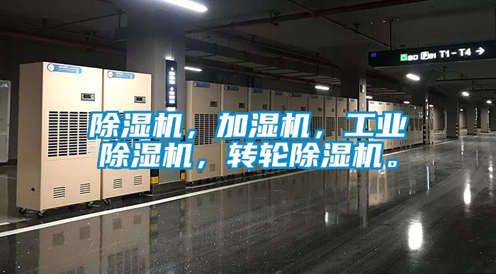 91抖音免费看片，加湿机，工业91抖音免费看片，转轮91抖音免费看片。