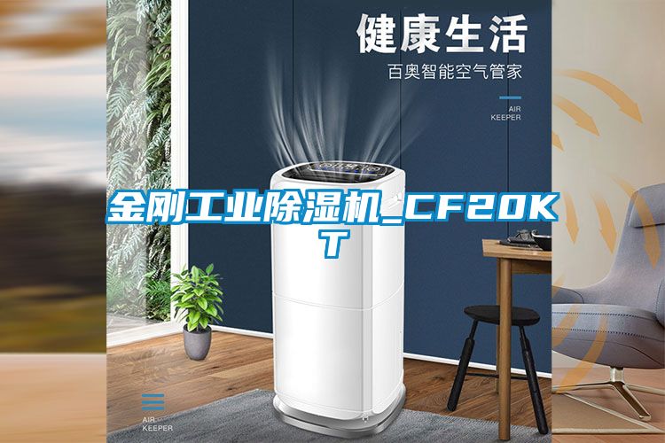 金刚工业91抖音免费看片_CF20KT