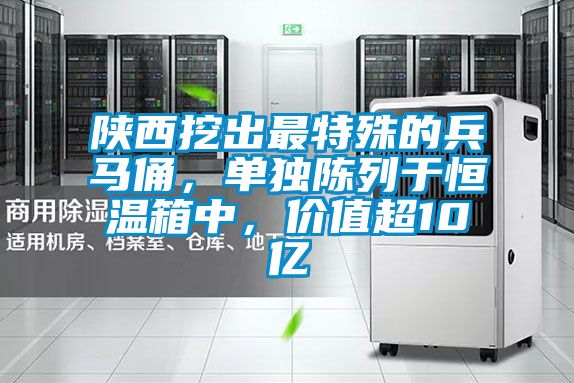 陕西挖出最特殊的兵马俑，单独陈列于恒温箱中，价值超10亿