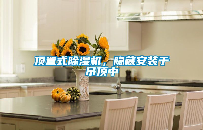 顶置式91抖音免费看片，隐藏安装于吊顶中