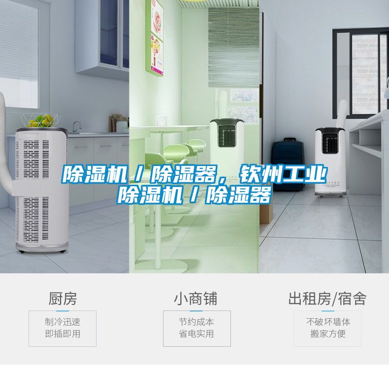 91抖音免费看片／除湿器，钦州工业91抖音免费看片／除湿器