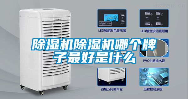 91抖音免费看片91抖音免费看片哪个牌子最好是什么