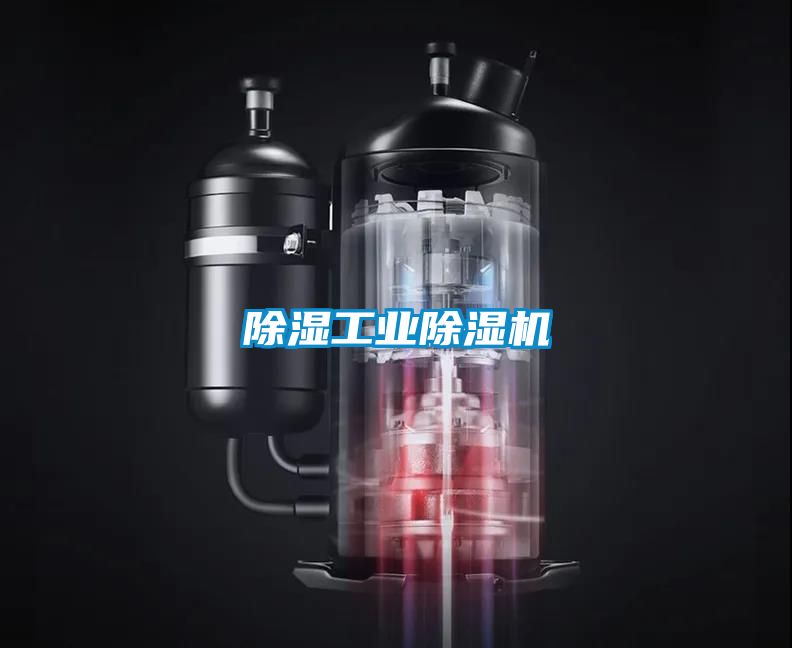 除湿工业91抖音免费看片