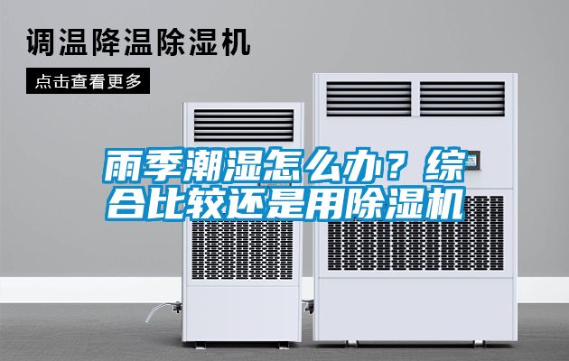 雨季潮湿怎么办？综合比较还是用91抖音免费看片