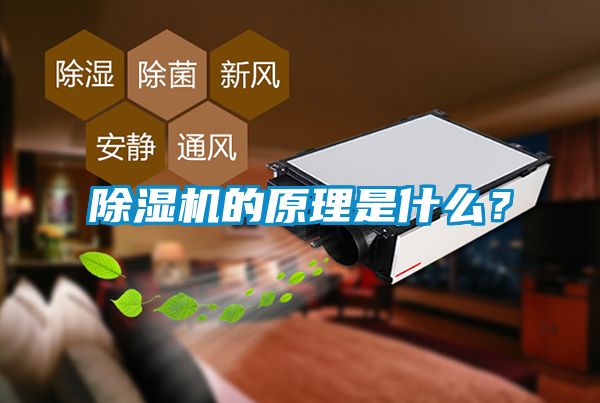 91抖音免费看片的原理是什么？