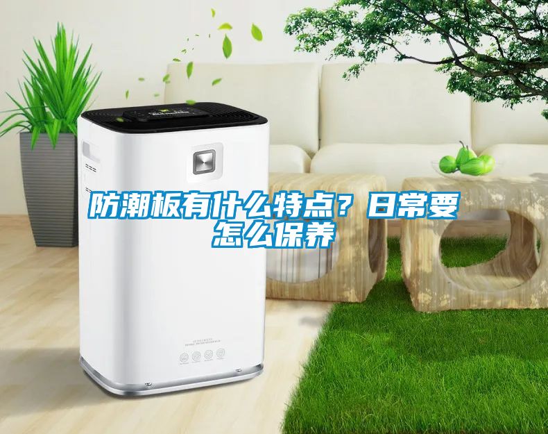 防潮板有什么特点？日常要怎么保养
