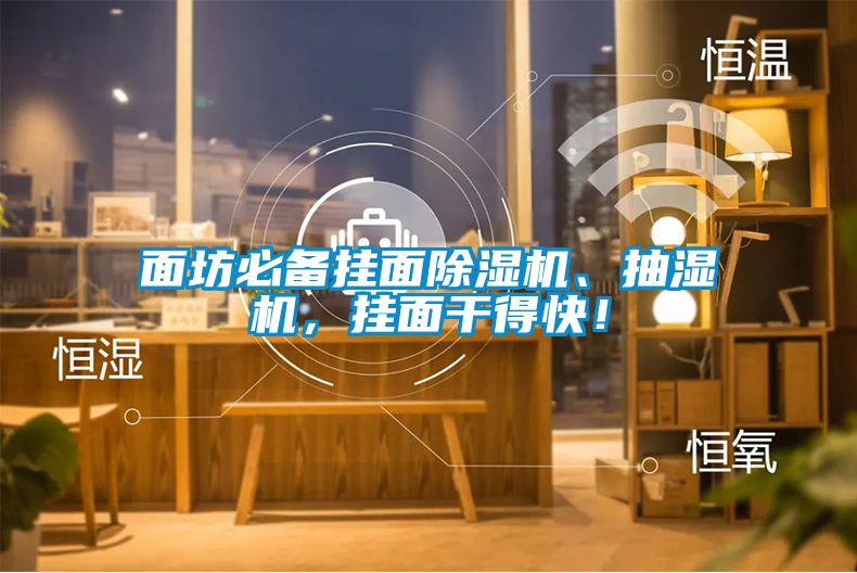 面坊必备挂面91抖音免费看片、抽湿机，挂面干得快！