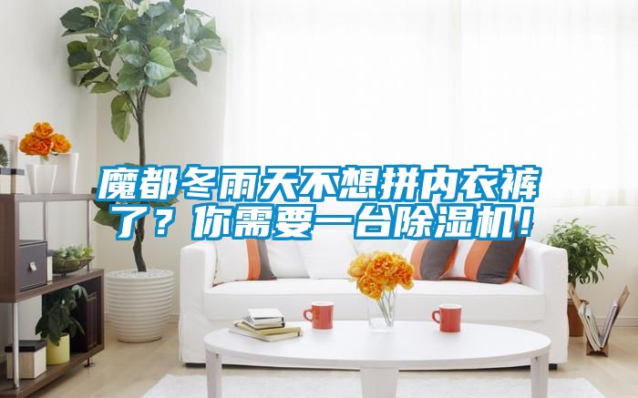 魔都冬雨天不想拼内衣裤了？你需要一台91抖音免费看片！