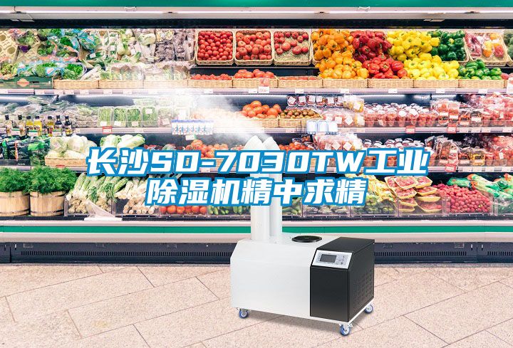 长沙SD-7030TW工业91抖音免费看片精中求精