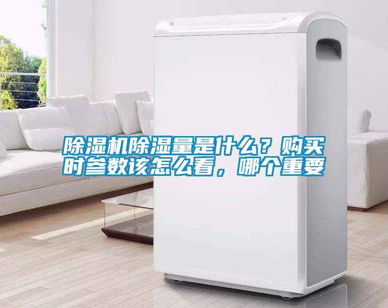 91抖音免费看片除湿量是什么？购买时参数该怎么看，哪个重要