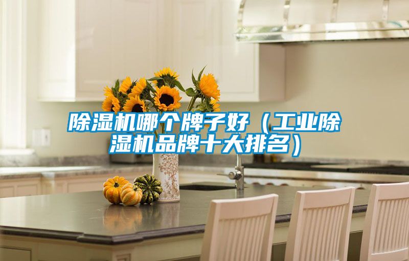 91抖音免费看片哪个牌子好（工业91抖音免费看片品牌十大排名）