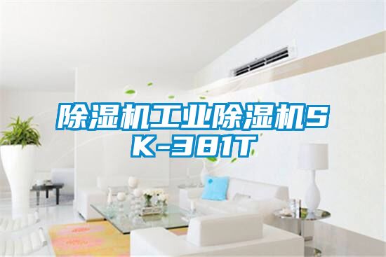 91抖音免费看片工业91抖音免费看片SK-381T