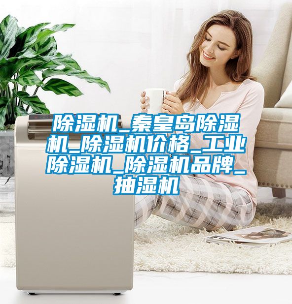 91抖音免费看片_秦皇岛91抖音免费看片_91抖音免费看片价格_工业91抖音免费看片_91抖音免费看片品牌_抽湿机