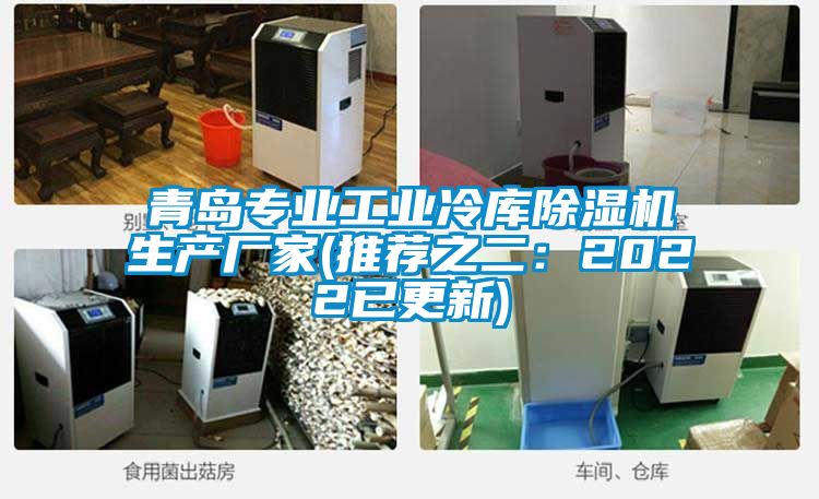 青岛专业工业冷库91抖音免费看片生产厂家(推荐之二：2022已更新)