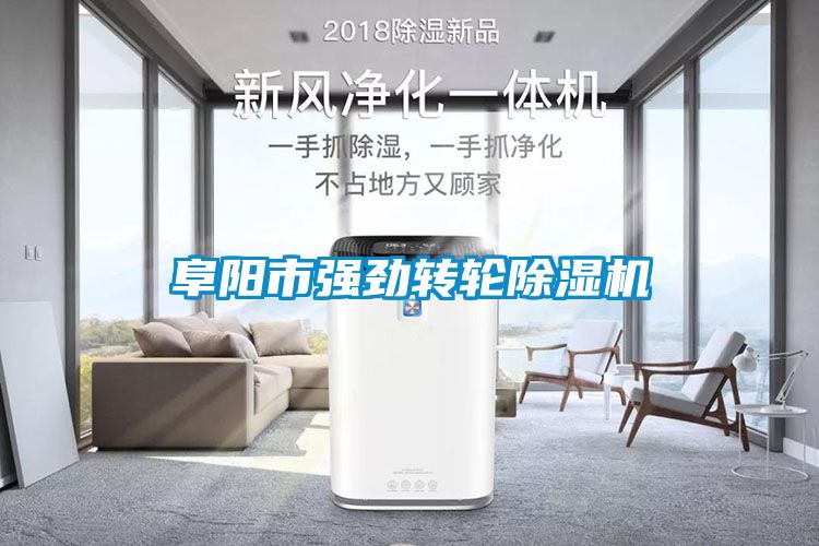 阜阳市强劲转轮91抖音免费看片