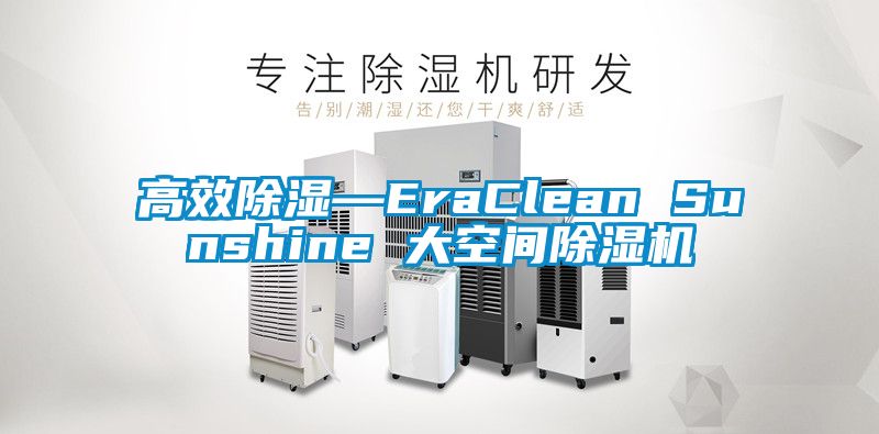 高效除湿—EraClean Sunshine 大空间91抖音免费看片