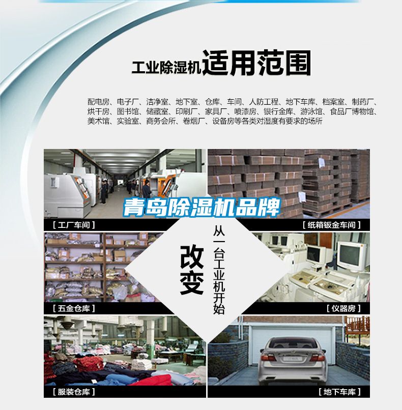 青岛91抖音免费看片品牌