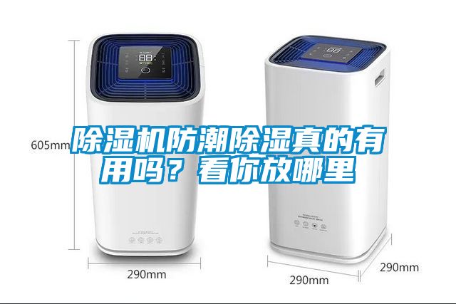 91抖音免费看片防潮除湿真的有用吗？看你放哪里