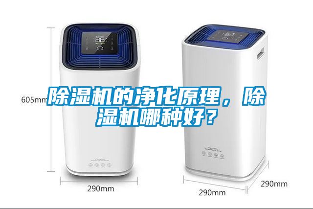 91抖音免费看片的净化原理，91抖音免费看片哪种好？