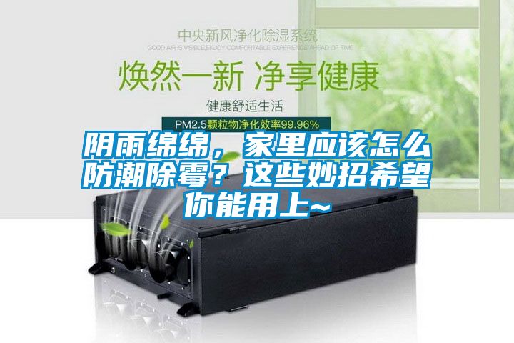 阴雨绵绵，家里应该怎么防潮除霉？这些妙招希望你能用上~