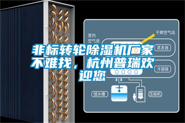 非标转轮91抖音免费看片厂家不难找，杭州普瑞欢迎您
