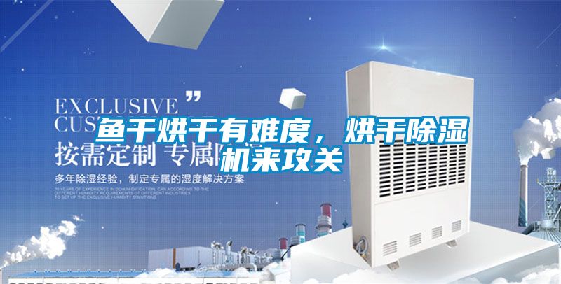 鱼干烘干有难度，烘干91抖音免费看片来攻关