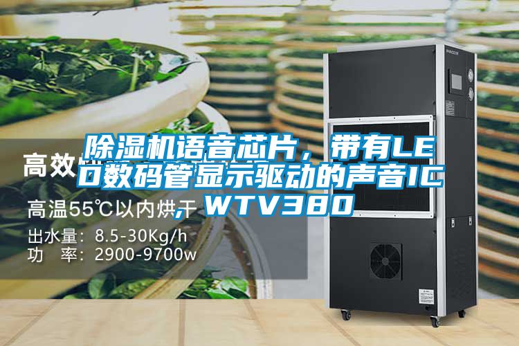 91抖音免费看片语音芯片，带有LED数码管显示驱动的声音IC，WTV380