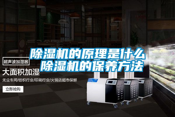 91抖音免费看片的原理是什么 91抖音免费看片的保养方法